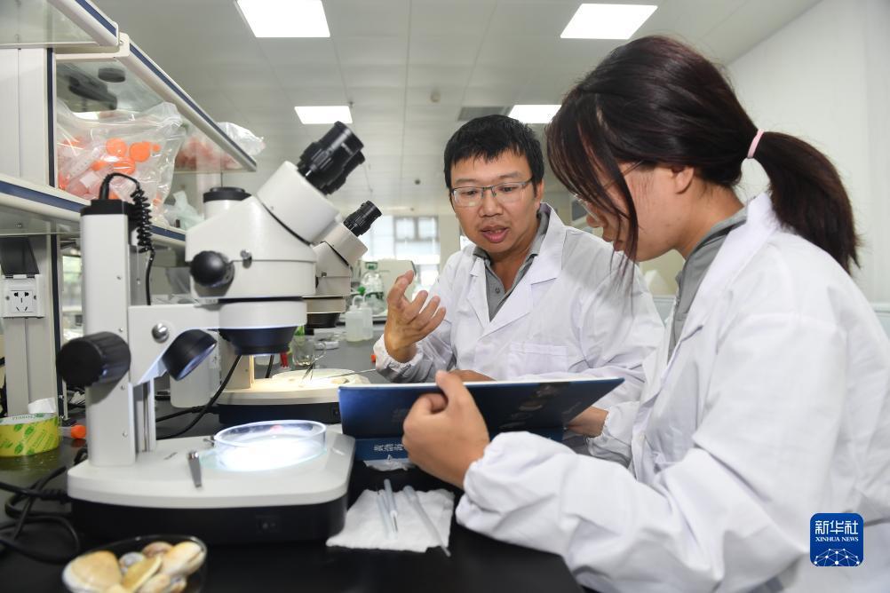 鸿运高手榜网址是多少?